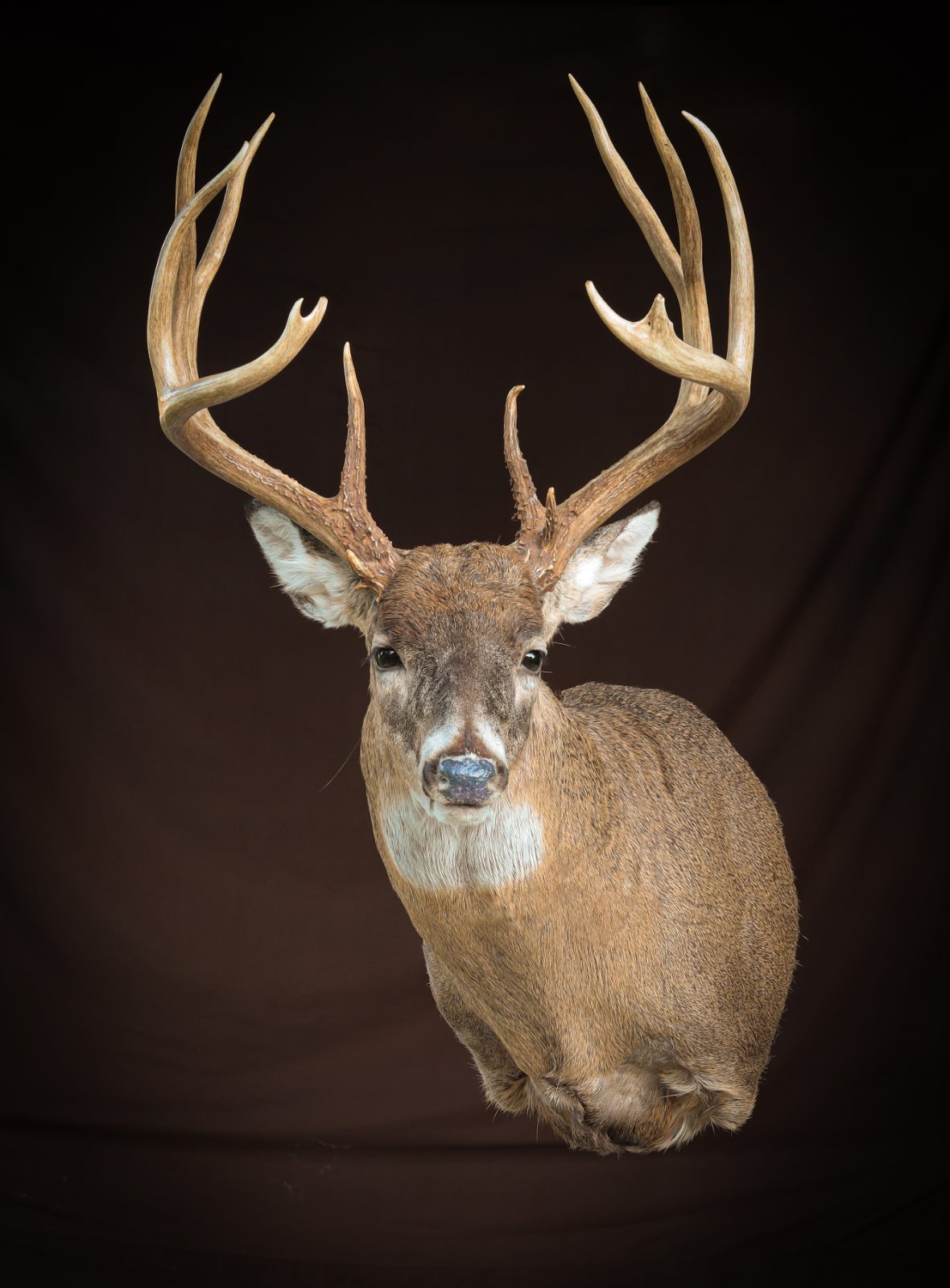 2022 Franklin County, IL Buck