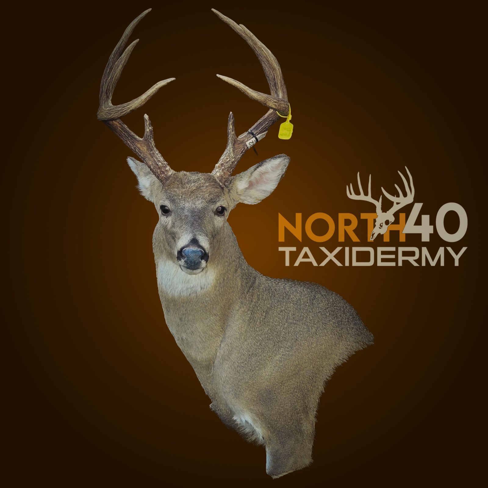 2025 Franklin County, IL Buck