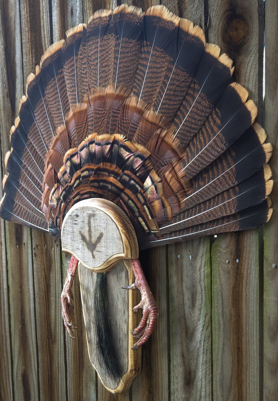 2026 Jackson County, IL Turkey