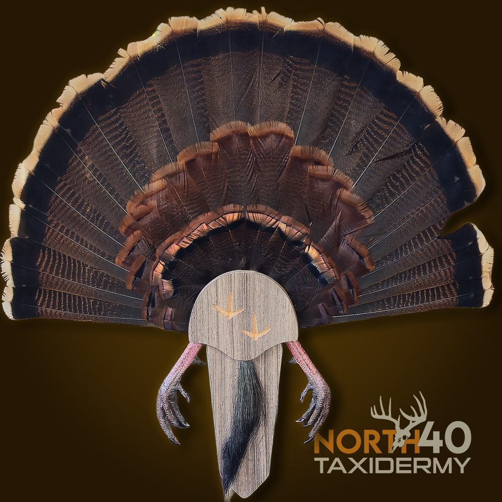 2026 Jackson County, IL Turkey