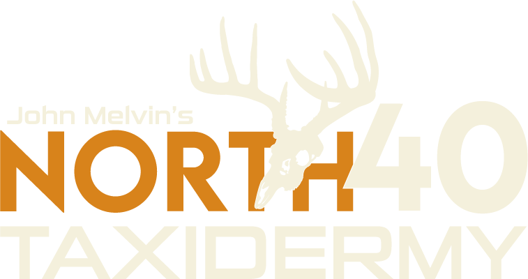 John Melvin's North 40 Taxidermy